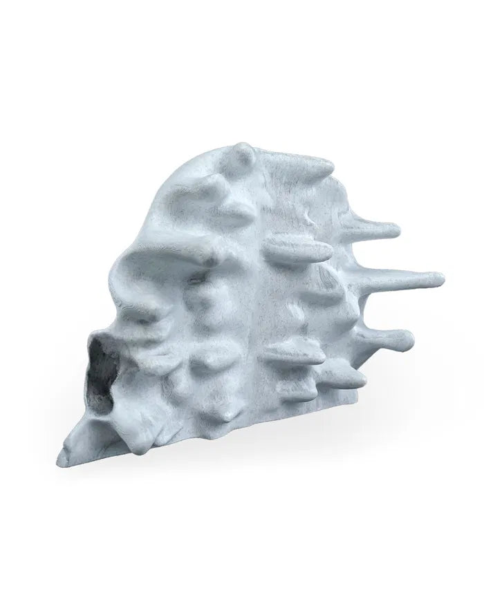 RIPped Skull – Surreal Decorative Sculpture