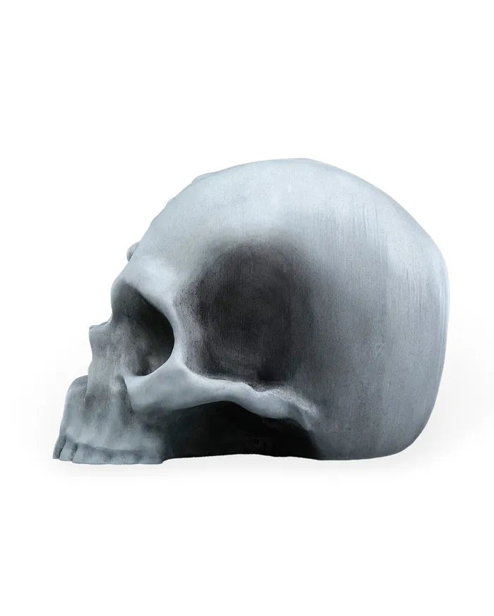 RIPped Skull – Surreal Decorative Sculpture