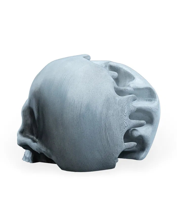 RIPped Skull – Surreal Decorative Sculpture